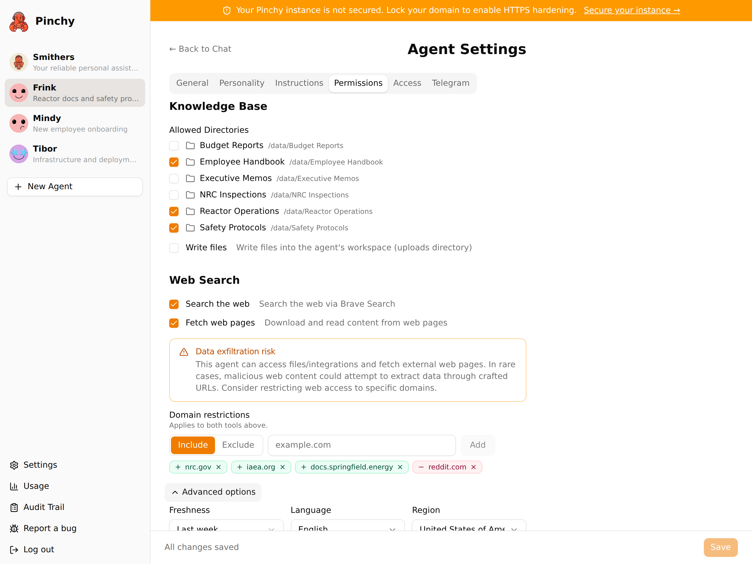 Web Search permissions with domain restrictions and advanced options